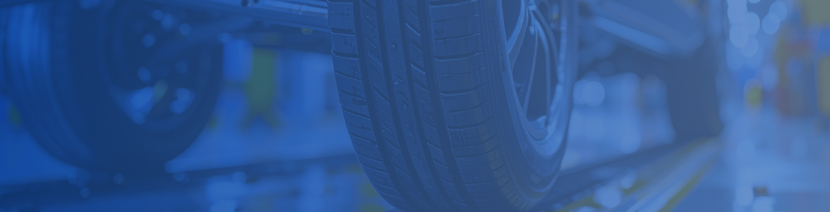 ペット用品メーカー×日英ローカライズ