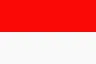 インドネシアのインフルエンサーネットワーク